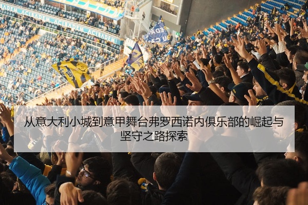 从意大利小城到意甲舞台弗罗西诺内俱乐部的崛起与坚守之路探索