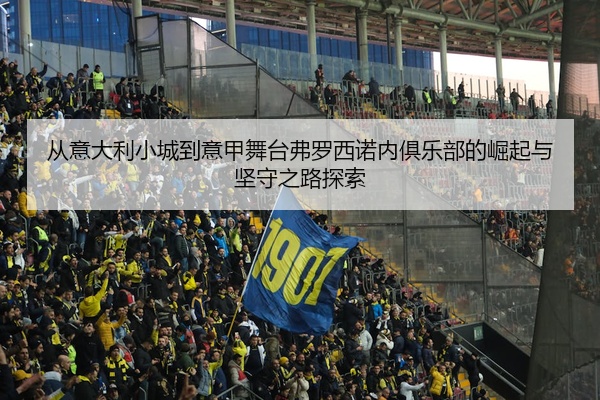 从意大利小城到意甲舞台弗罗西诺内俱乐部的崛起与坚守之路探索
