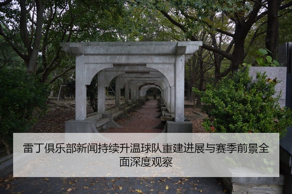雷丁俱乐部新闻持续升温球队重建进展与赛季前景全面深度观察
