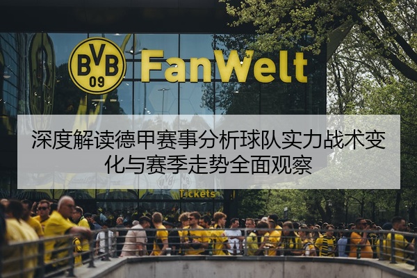 深度解读德甲赛事分析球队实力战术变化与赛季走势全面观察